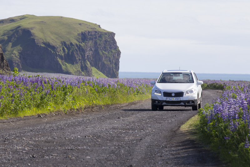 iceland south coast self drive summer william gray 1 of 1