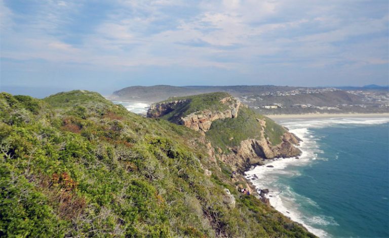 south africa garden route robberg nature reserve