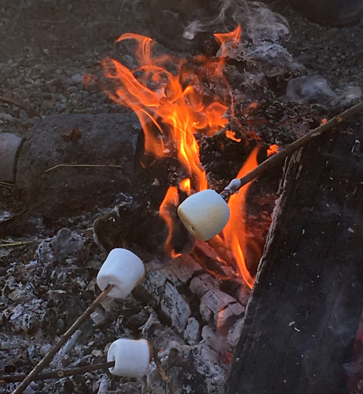 toasing marshmallows over the campfire