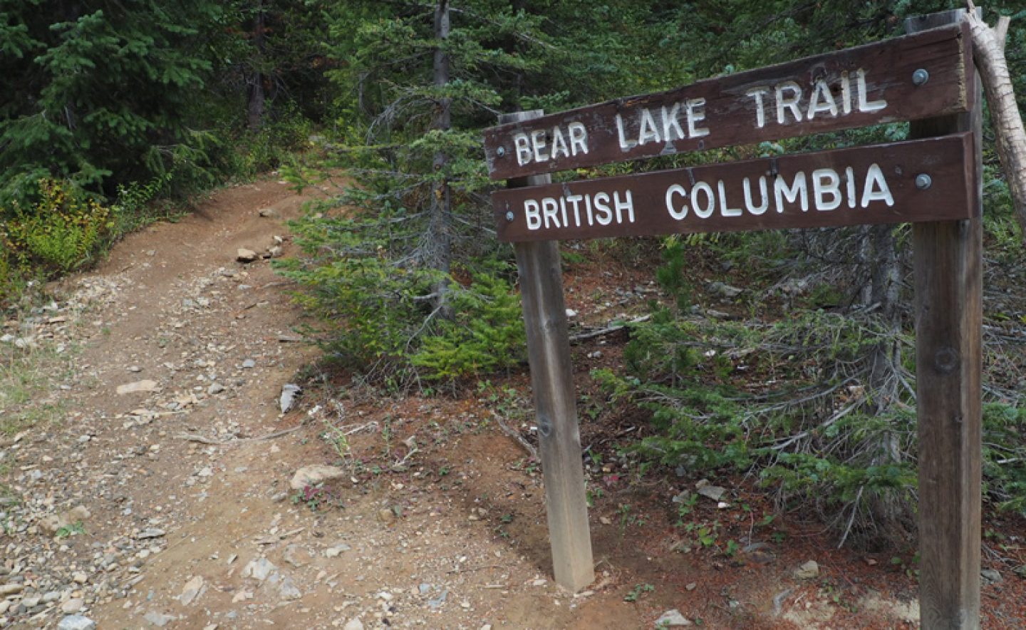 bear lake trail sigh british columbia