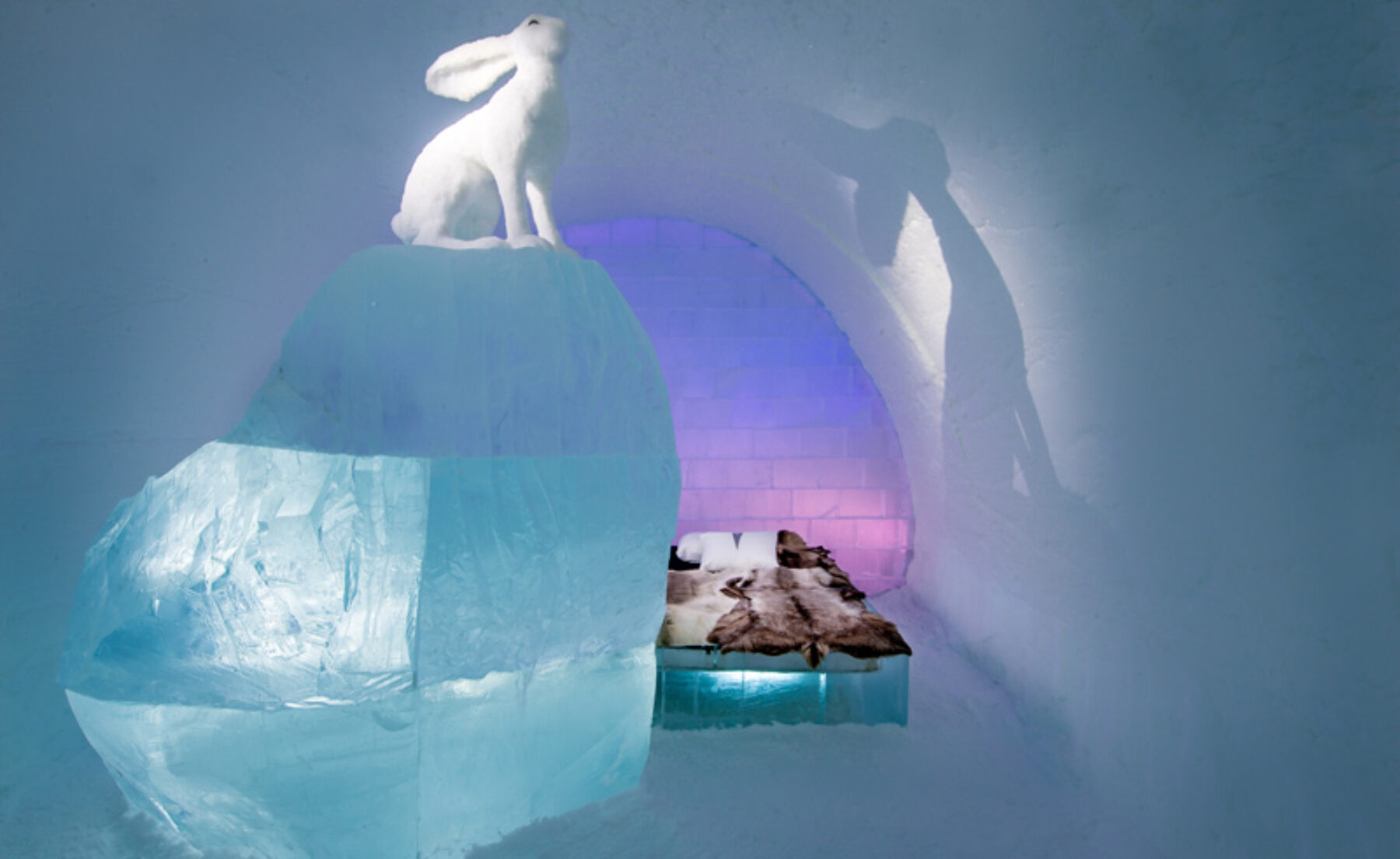 art suite follow the white rabbit annasofia mg niklas byman icehotel 28 photo by asaf aliger