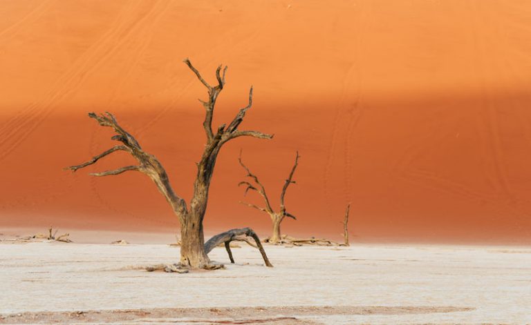 deadvlei namib desert namibia