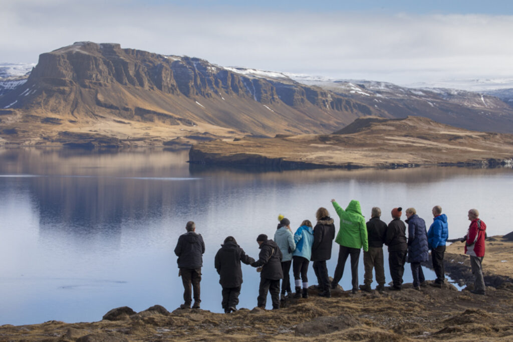 discover the world escorted holiday group whale fjord iceland