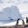 antarctic gentoo penguins against epic backdrop stock