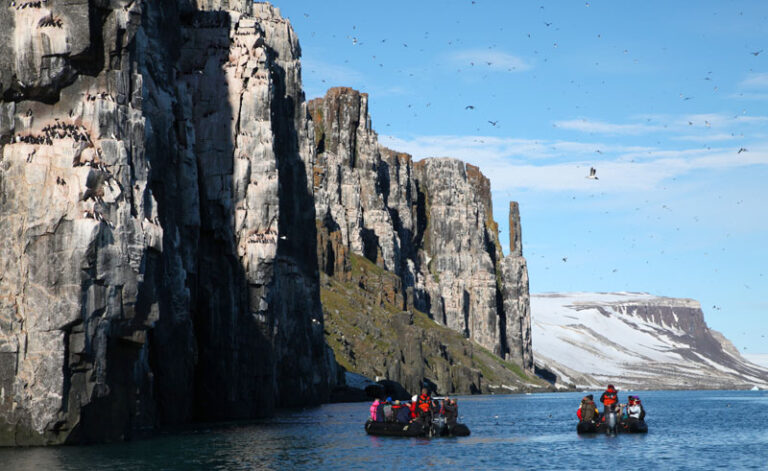 arctic spitsbergen bird cliffs zodiac pq
