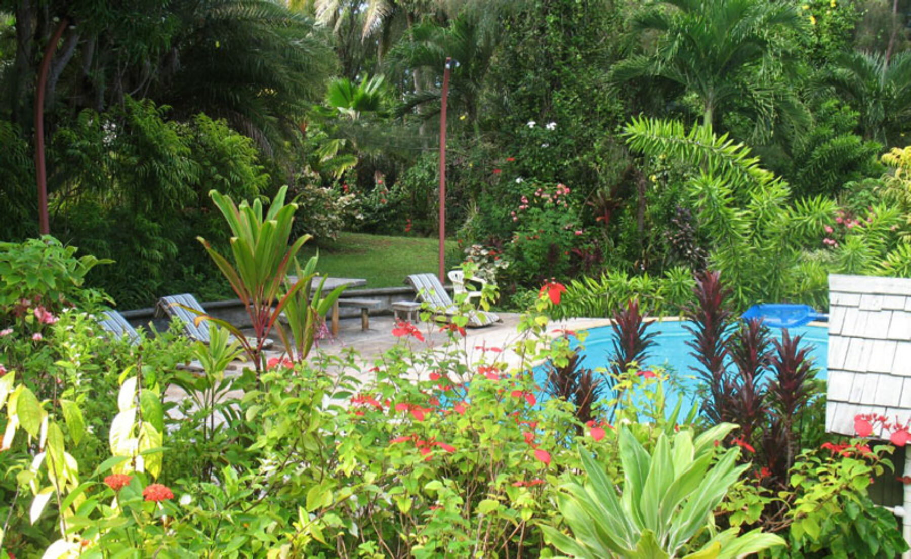 atiu villas garden and pool