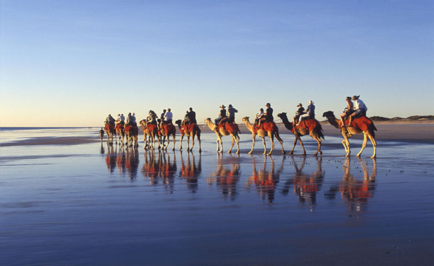 australia wa broome cable beach camels ta