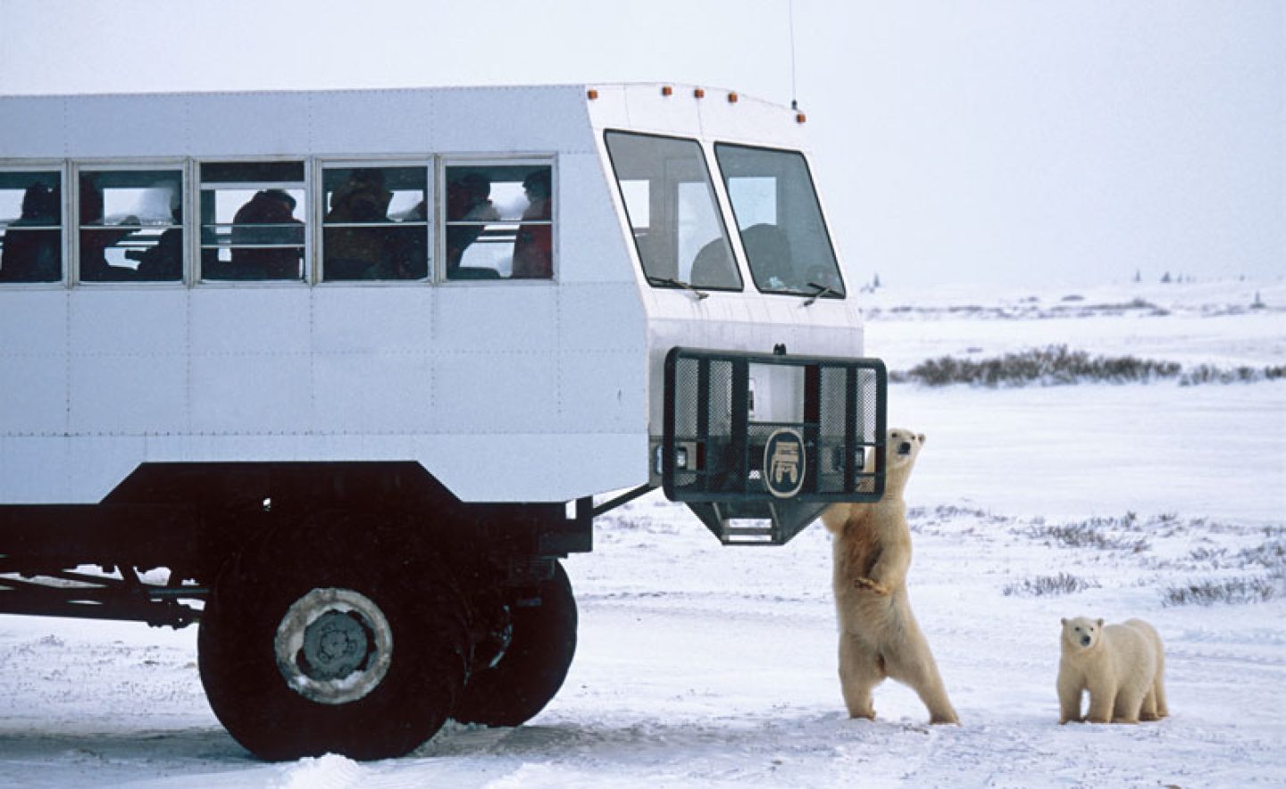 canada churchill polar rover on tundra nh