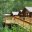 denali backcountry lodge superior cabin