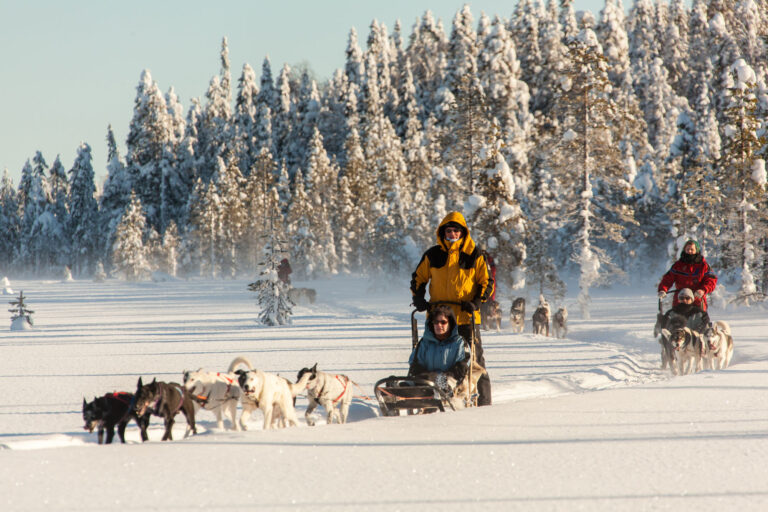 finland husky sledding