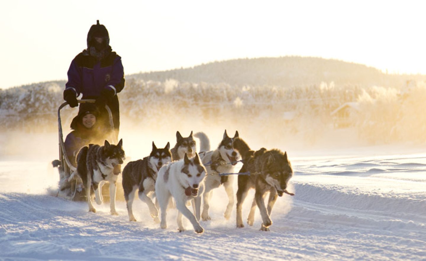 finnish lapland husky sledding winter sun nellim