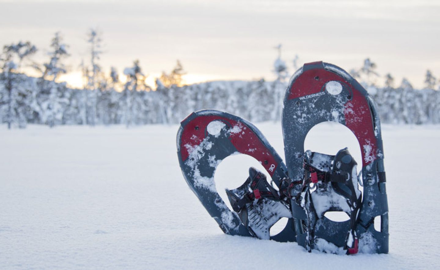 finnish lapland nellim snowshoes