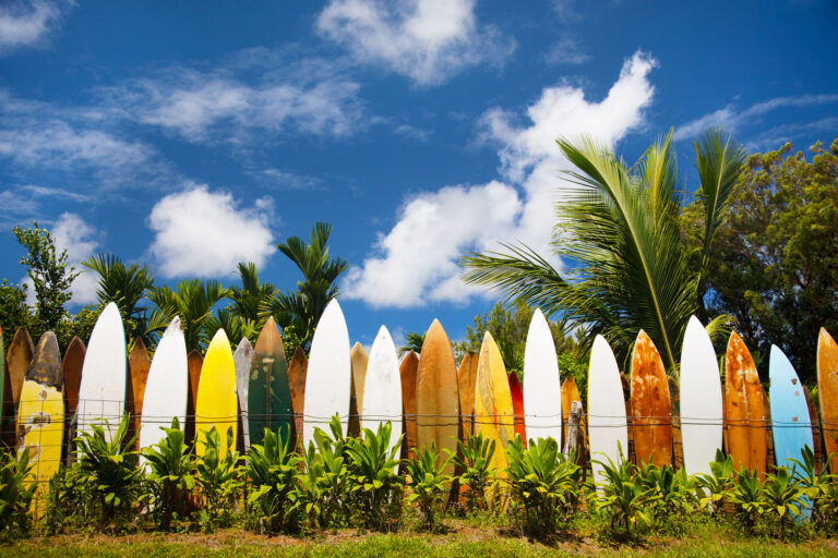 hawaii row of surfboards istk
