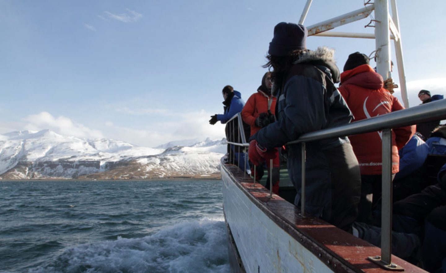 iceland grundarfjordur boat trip wg