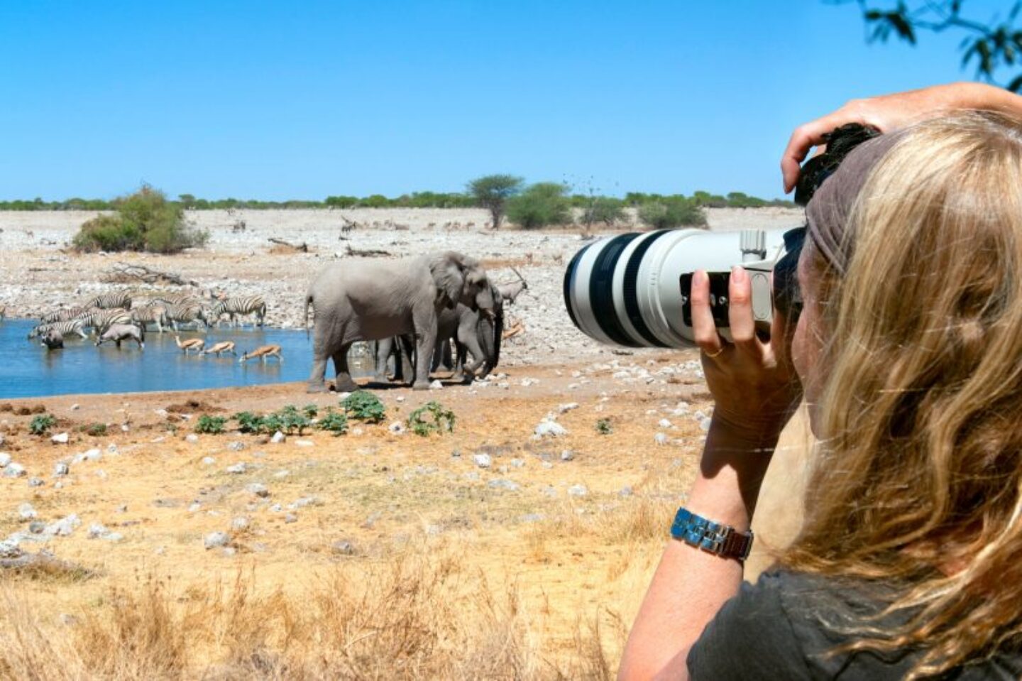 namibia etosha photographing a waterhole istk