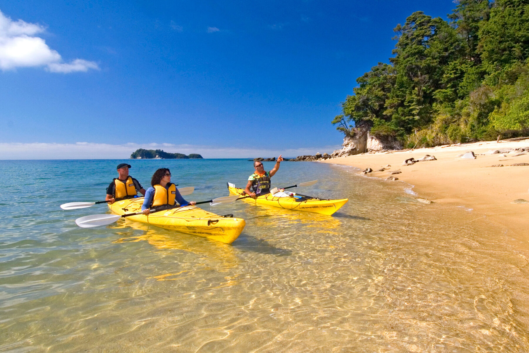 new zealand kayaking abel tasman national park ntt