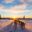 northern norway husky sledding sunset pov adstk