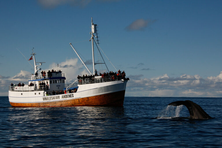 norway vesteralen andenes whale watching aws