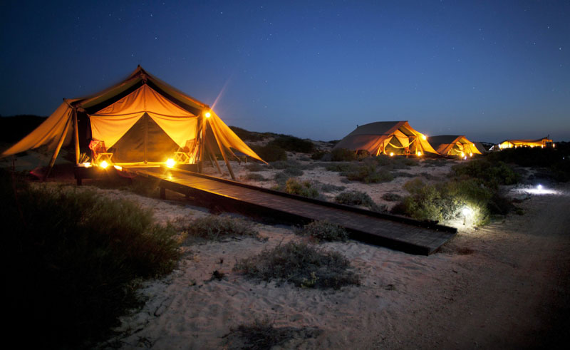 sal salis wilderness camp tents at night