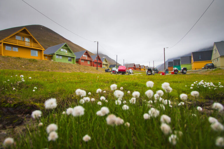 svalbard longyearbyen coloured houses summer istock