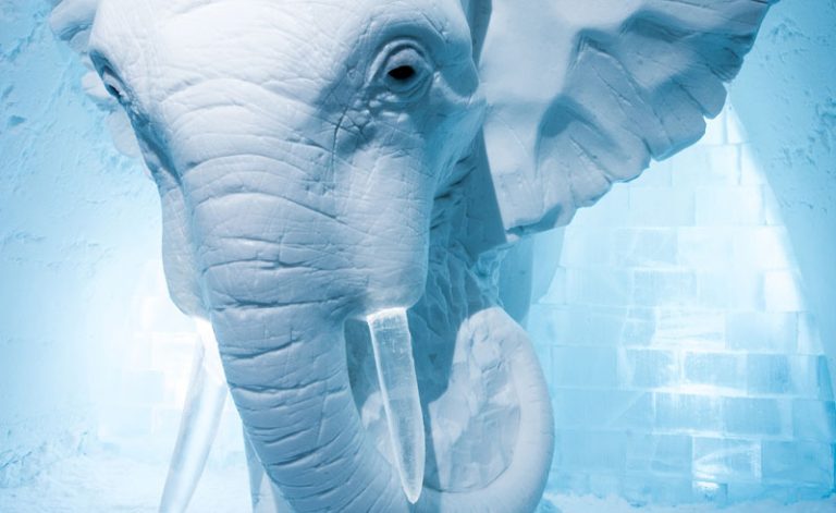 sweden lapland icehotel art suite2016 elephant in the room