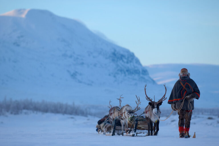 sweden lapland reindeer safari with sami vs