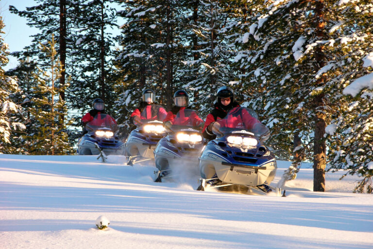 sweden lapland snowmobiles through forest lmb