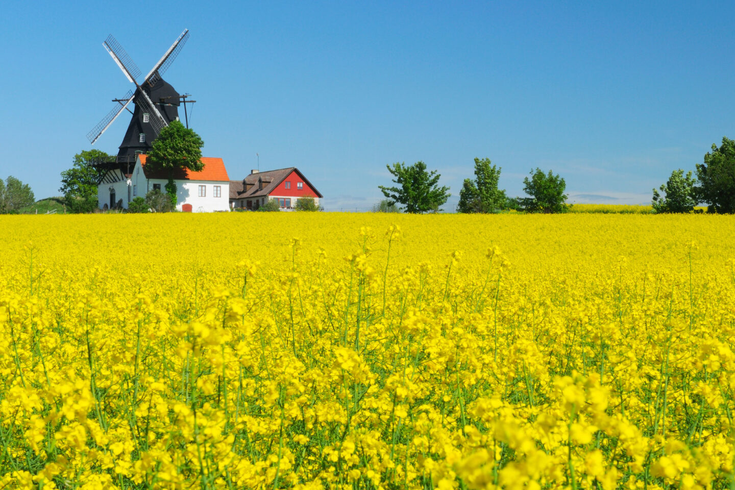 sweden skane windmill istk
