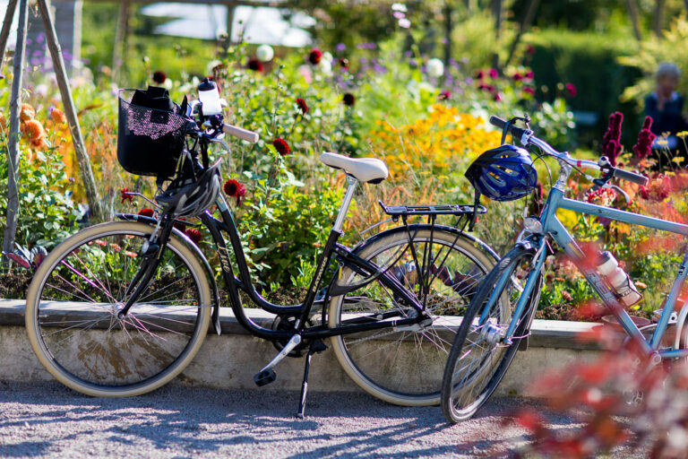 sweden stockholm summer bicycles