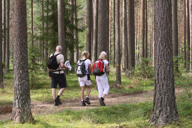 sweden varmland family hiking wtrwld