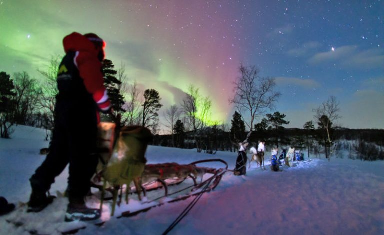 swedish lapland abisko aurora hunt by husky lm