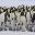 antarctica emperor penguin colony with chick istk