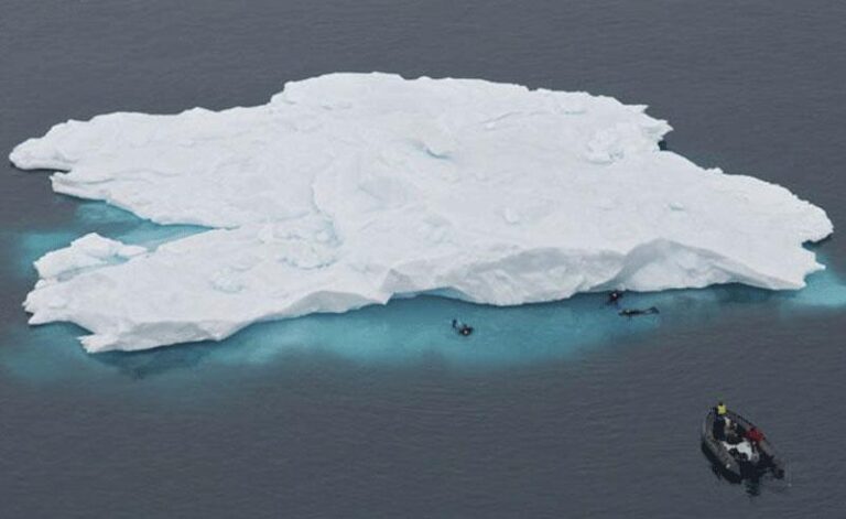 antarctica snorkelling ae