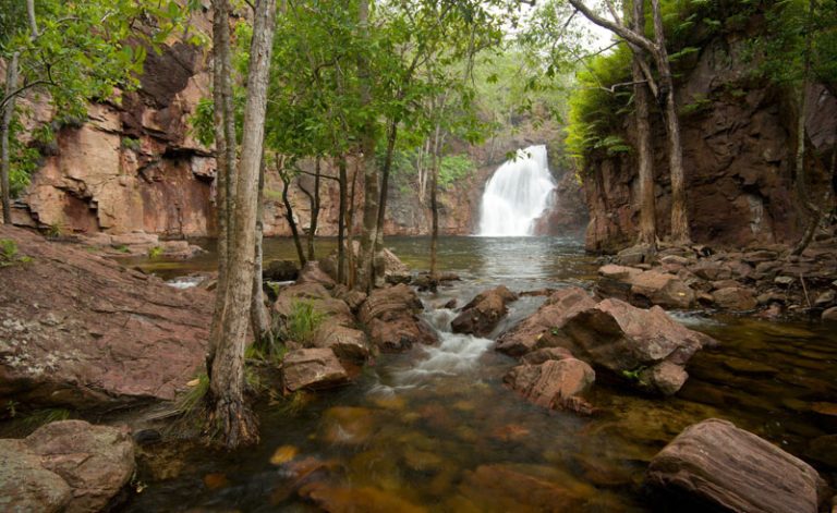 australia nt litchfield national park waterfall
