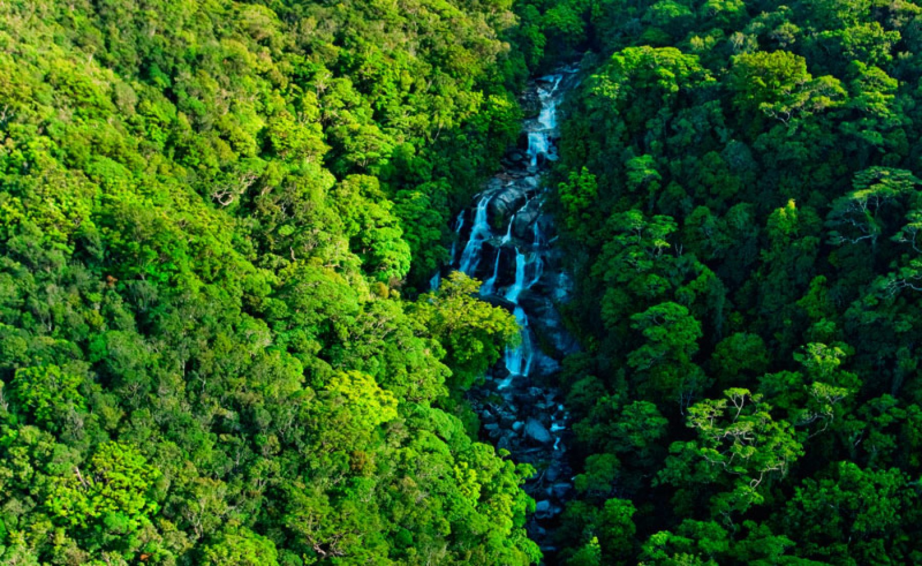 australia qld rainforest nautilus aviation scenic flight