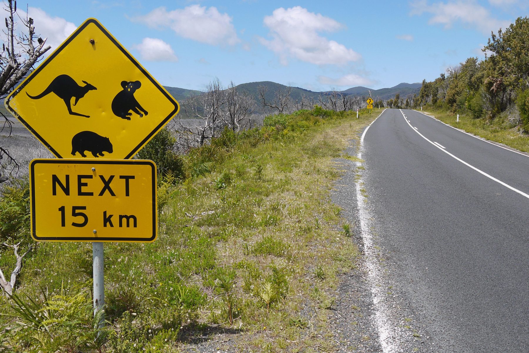 australia victoria wilsons promontory national park road sign astk