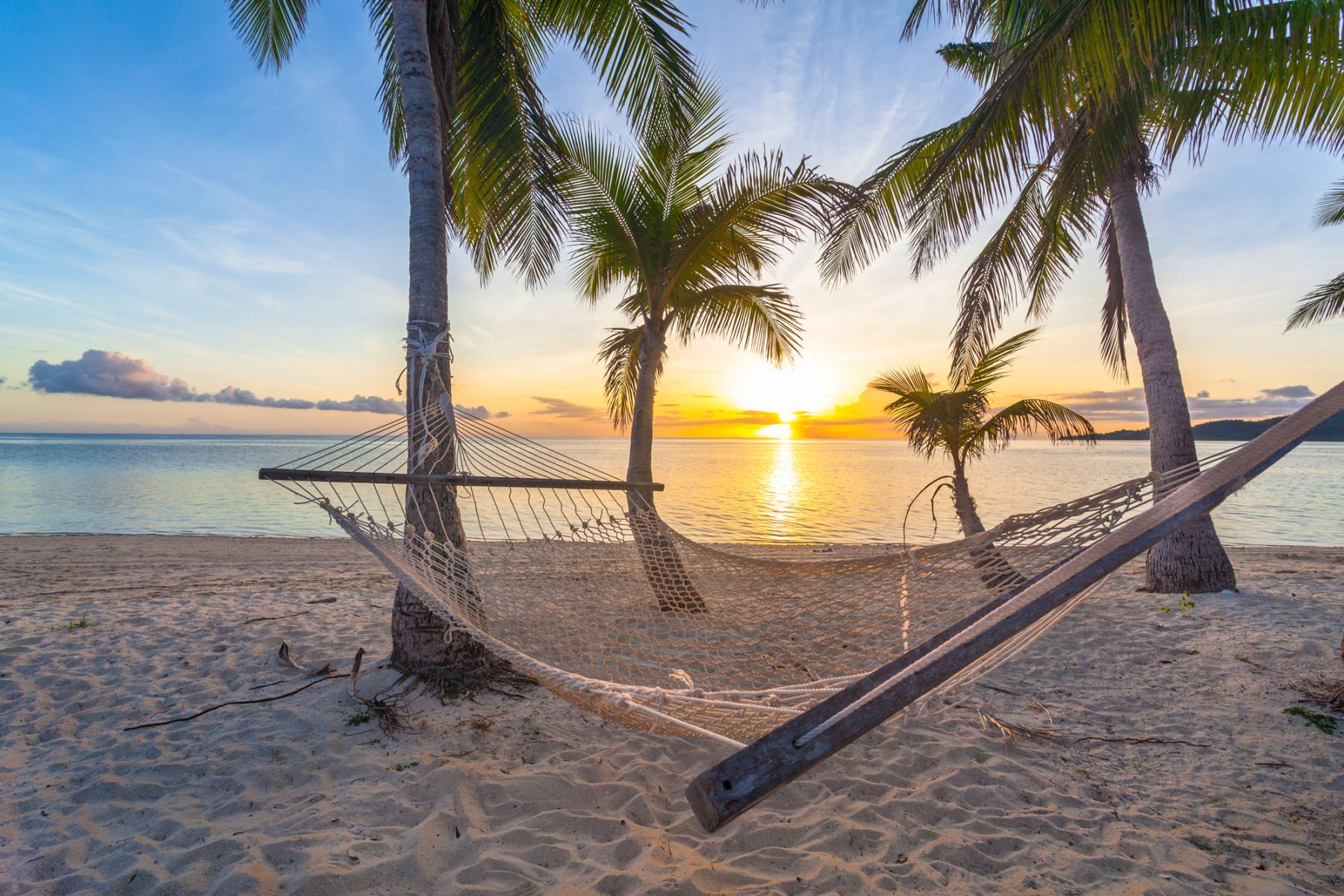 fiji beach hammock at sunset istk