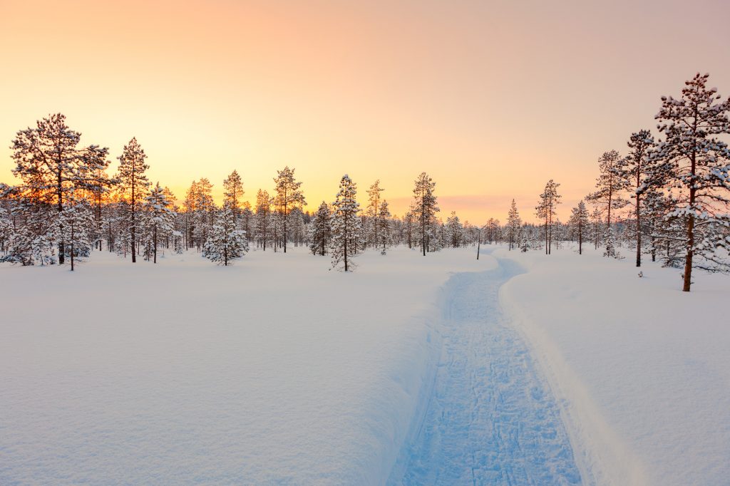 finland lapland sunset taiga forest istk