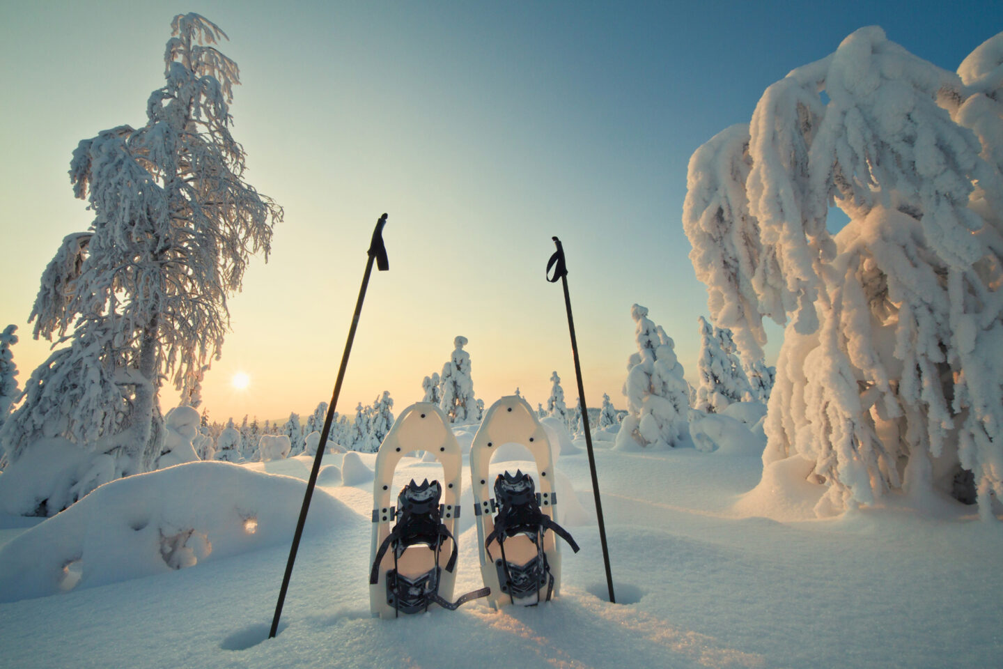 finnish lapland winter sun snowshoes vf