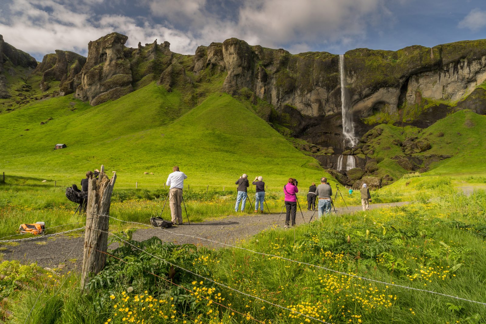 best iceland escorted tours