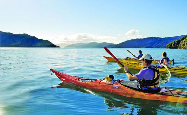 new zealand guided sea kayaking picton