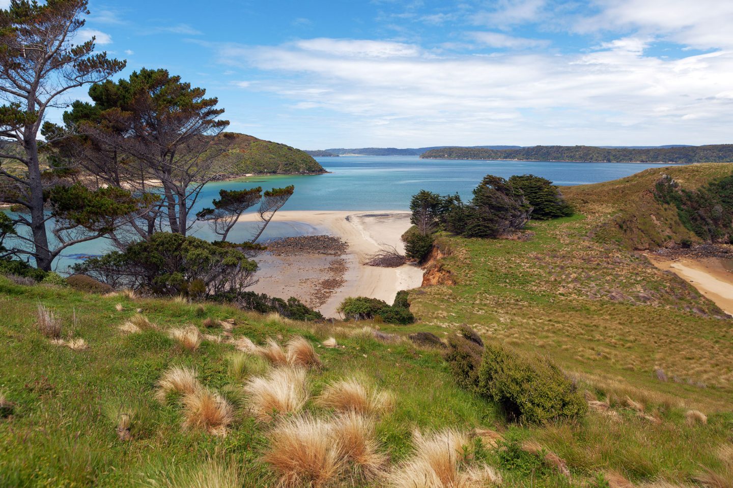 new zealand southland view from stewart island istk
