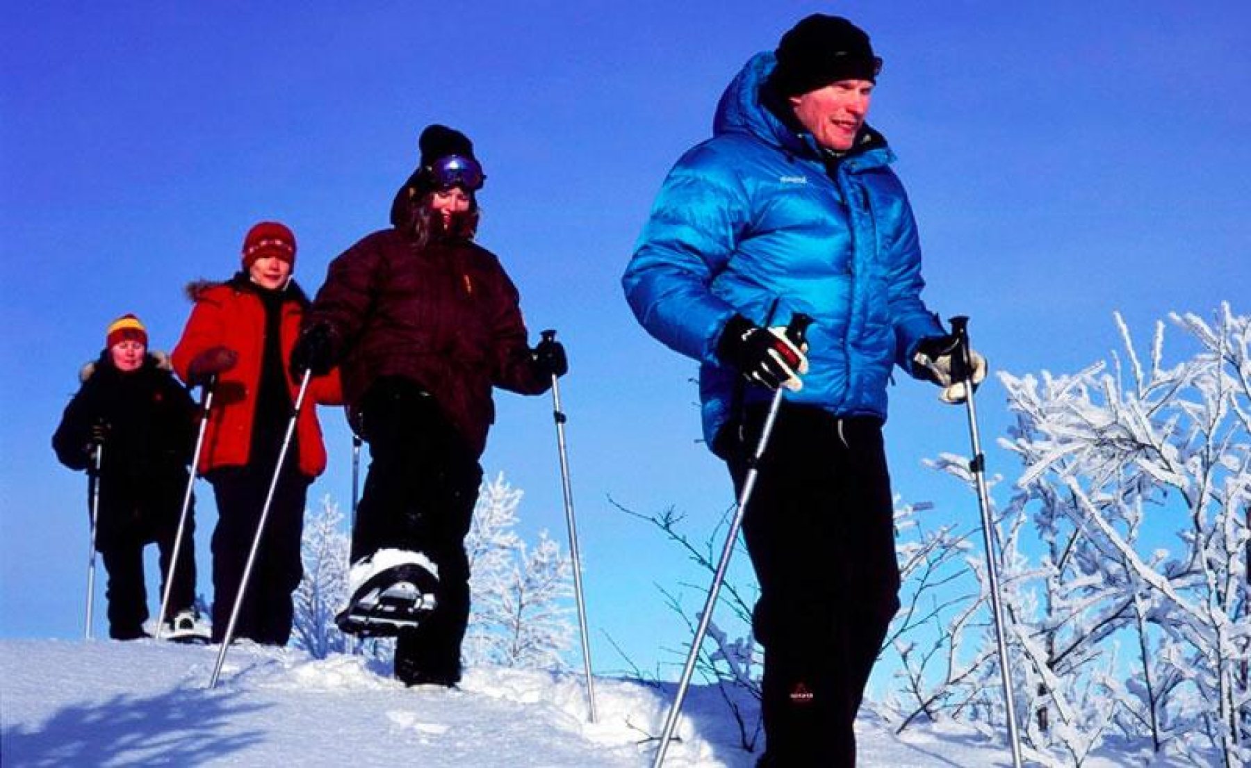swedish lapland snowshoe tour from ripan