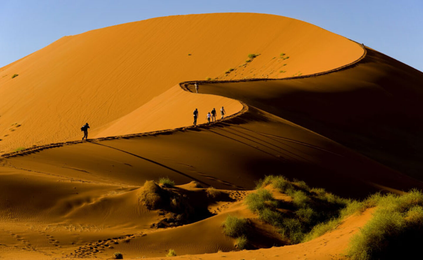Sossusvlei desert dunes curve