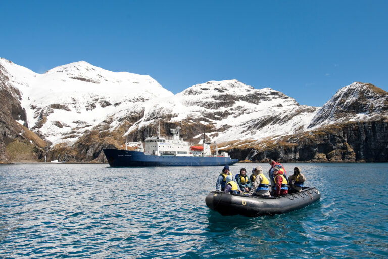 antarctica south georgia zodiac and ship right whale bay markjones aurexped
