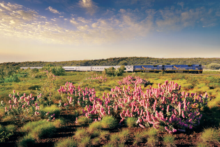 australia indian pacific train journey flora