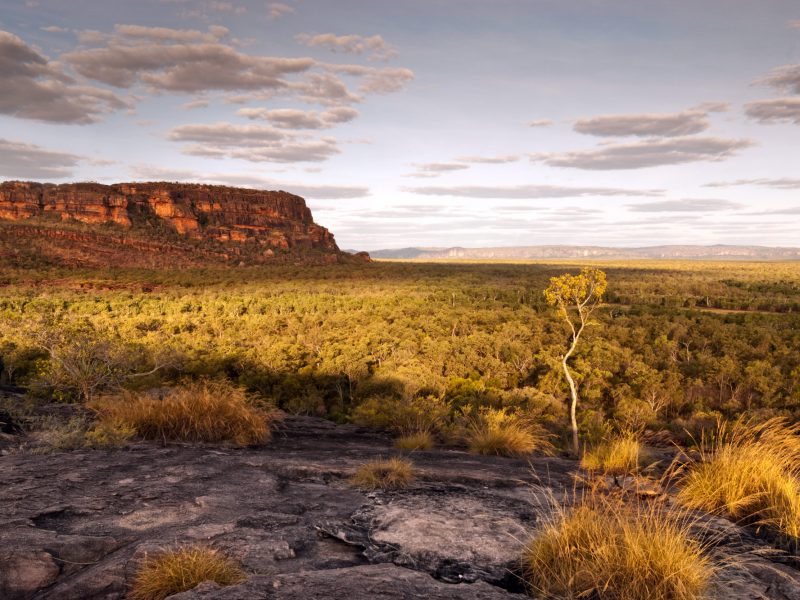 australia northern territory kakadu national park nourlangie badlands istk