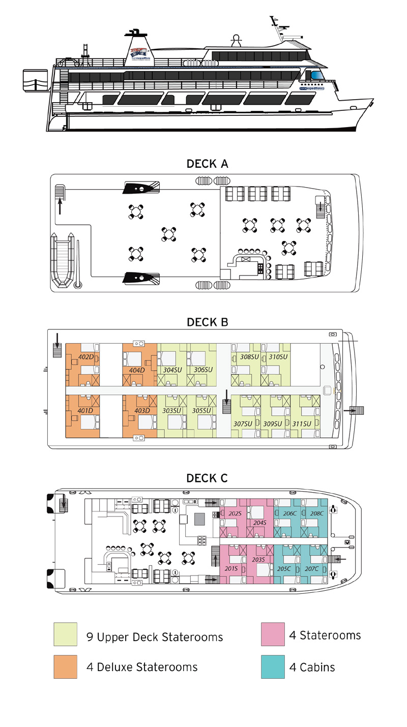 coral expeditions 2 deck plan
