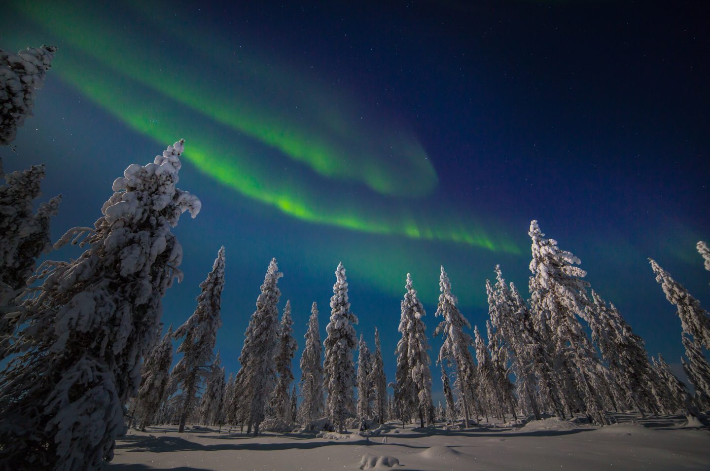finland lapland muotka northern lights