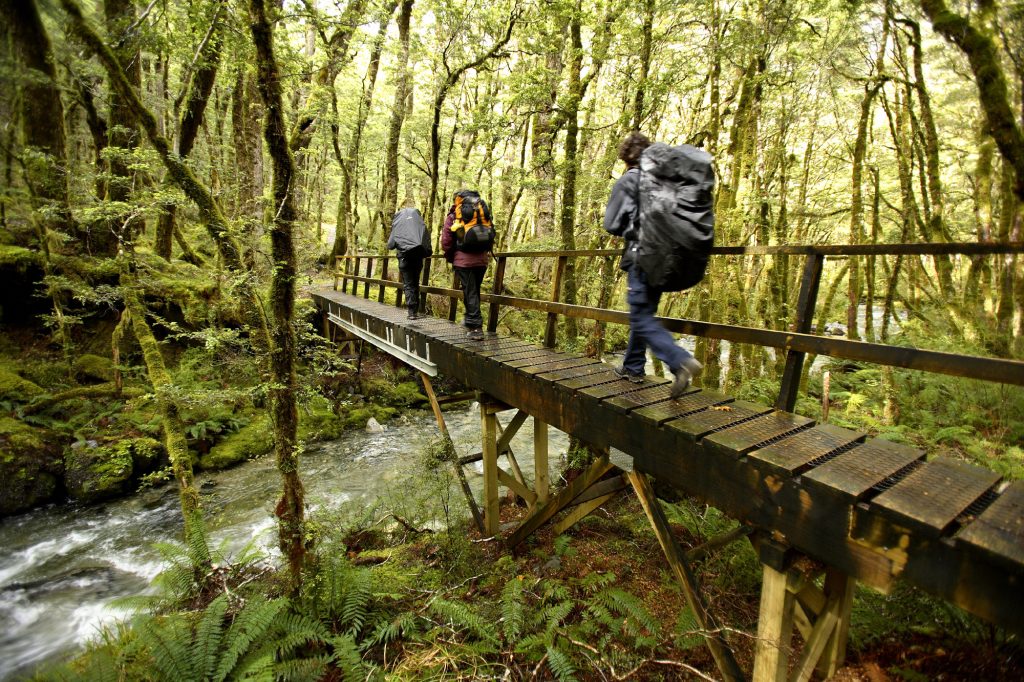 new zealand fiordland kepler track hiking over footbridge df